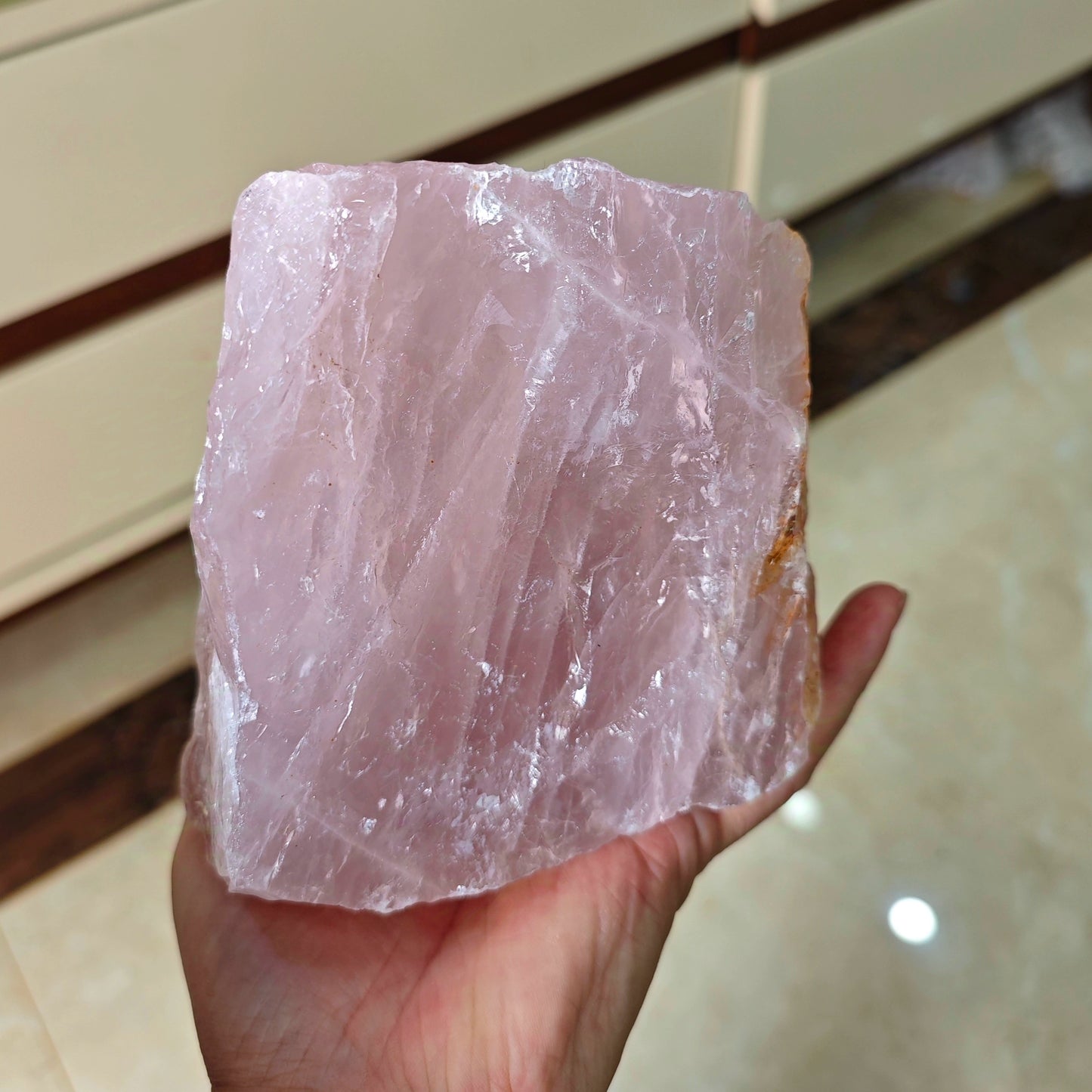 شجرة المال الطبيعية - زينة كريستالية لجذب الحظ