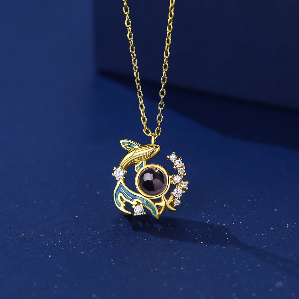 Collar de suelo con proyección de fotos de ballenas